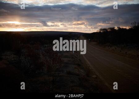 Die verwüstete Landschaft von Kangaroo Island wird Ende Februar 2020 langsam wieder lebendig. Stockfoto