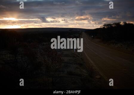 Die verwüstete Landschaft von Kangaroo Island wird Ende Februar 2020 langsam wieder lebendig. Stockfoto