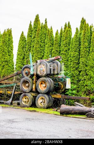 Alte verrostete und mit grünen Moos-Anhängern bedeckte Trailer zum Transport von Holzstämmen auf großen Rigg-Sattelschleppen werden übereinander gestapelt als Symbol für Stockfoto