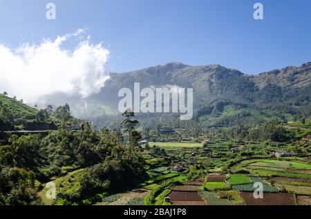 Schöner Blick auf die Bauernländer und die hohen Berge auf dem Weg zum Top Station, Munnar, Kerala, Indien Stockfoto