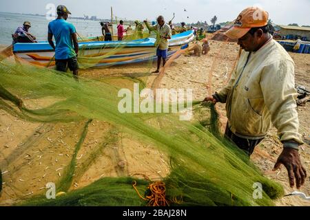 Negombo, Sri Lanka - März 2020: Fischer holen nach einer nächtlichen Angelmöglichkeit am 6. März 2020 in Negombo, Sri Lanka, Fisch aus ihren Fischernetzen. Stockfoto