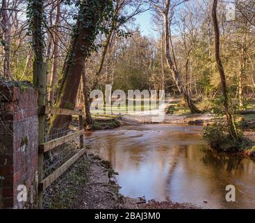 Ein Weg durch den New Forest, Hampshire, Großbritannien im Frühjahr mit einem kleinen Fluss durch ihn, der zu einem Tor in der Ferne führt Stockfoto