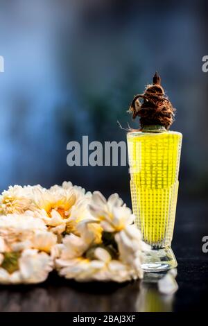 Duft oder Parfüm von gängiger Gänseblümchen oder englischer Gänseblümchen in einer Glasflasche zusammen mit einigen Gänseblümchen auf einem schwarzen Holzbrett, mit verschwommenem Hintergrund und Stockfoto