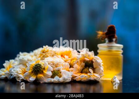 Nahaufnahme von Gänseblümöl in einer Glasflasche mit frischen Gänseblümchen oder englischen Gänseblümchen auf der Tafel mit verschwommenem Backgroschen Stockfoto