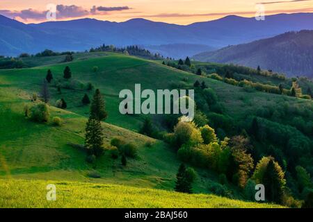 Bergige Landschaft im Frühling in der Dämmerung. Bäume auf den sanften Hügeln. kante in der Ferne. Wolken am Himmel. Atemberaubende ländliche Landschaft von Carpa Stockfoto