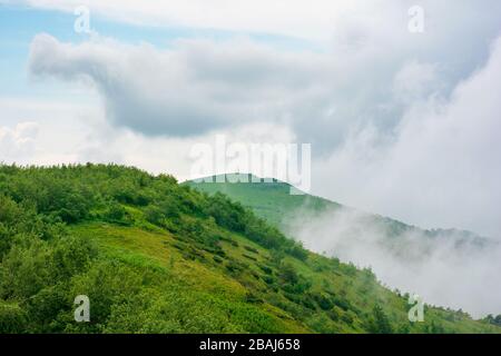 alpenwiesen von mnt. runa, ukraine. Schöne Naturlandschaft der karpaten im Sommer. Bewölktes Wetter Stockfoto