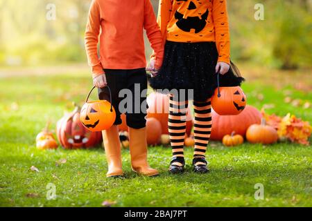 Kinder in schwarz und orange Hexe Kostüm und Hut spielen mit Kürbis und Spinne im Herbst Park auf Halloween. Kinder Trick oder Festlichkeit. Junge und Mädchen Carving Stockfoto