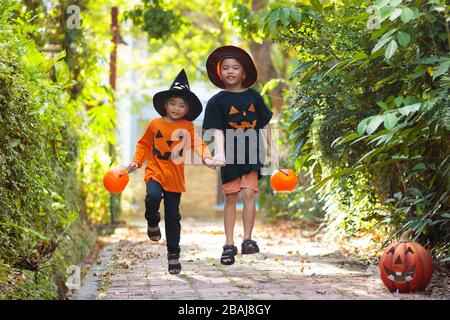 Kinder in schwarz-oranger Hexenkostüm und Hut mit Kürbis und Spinne im Herbstpark an Halloween. Asiatische Kinder tricksen oder gönnen sich Süßigkeiten. C Stockfoto