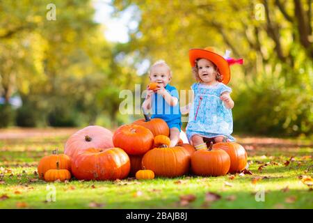 Gruppe kleiner Kinder genießen Bauernherbst Feier in Pumpkin Patch. Kinder Kommissionierung und schnitzen Kürbisse an Land Bauernhof auf warmen Herbsttag. Stockfoto