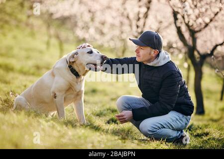 Mann mit Hund im Frühling Natur. Entspannung für Hausbesitzer mit Labrador Retriever auf der Wiese gegen blühende Bäume. Stockfoto