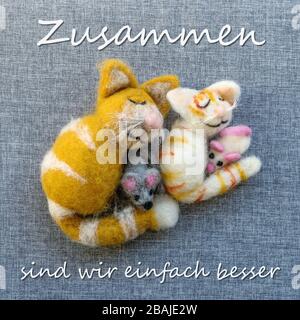 Grußkarte mit Katzen und Mäusen mit deutschem Text: Zusammen sind wir einfach besser Stockfoto