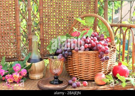 Korbkorb mit Trauben, frischen Bio-Früchten und Weinflasche im Garten. Weinflasche und Trauben im Korb auf dem Korbstuhl Stockfoto