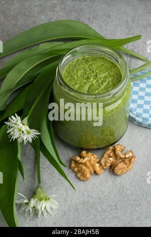 Frische hausgemachte Ramsoms pesto in einem Krug mit Blättern, Blumen und Walnüssen Stockfoto