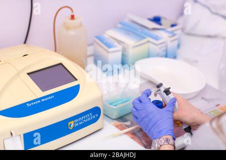 Blutanalysator. Laborassistent im medizinischen Labor hält Reagenzglas mit Blut und Plasma in der Hand und führt Analysen durch. Stockfoto