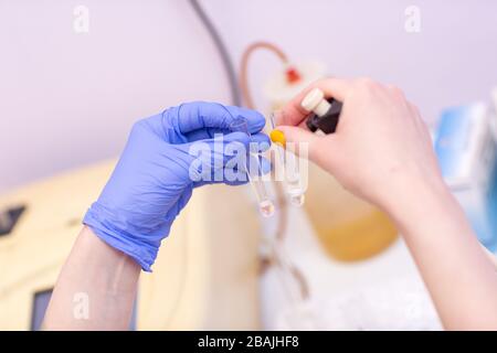 Laborassistent im medizinischen Labor hält Reagenzglas mit Blut und Plasma in der Hand und führt Analysen durch. Stockfoto