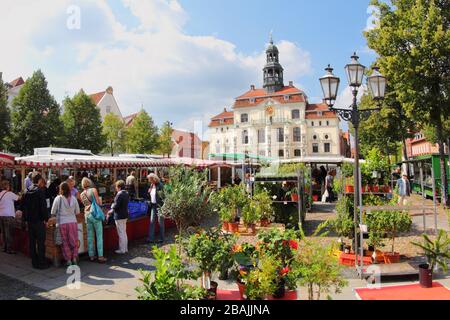 Lüneburgisch, Deutschland - 21. August 2013: Markt neben dem Rathaus in Lübeck, Marktplatz. Wochenmarkt für frische und hochwertige Produkte. Im Vordergrund Stockfoto