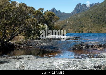 Cradle Mountain Tasmanien, Blick entlang des Alpenflusses, während er über die Felskaskade fließt Stockfoto