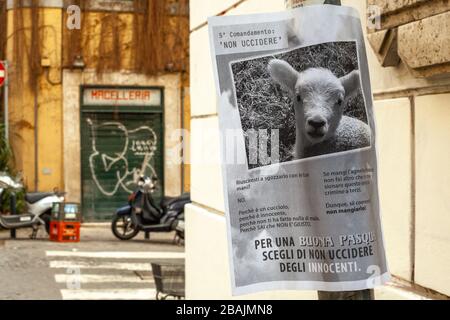 Medienkampagne gegen die Tötung von Lämmern während Ostern. Plakate hängen entlang der Straßen der Stadt. Rom, Latium, Italien, Europa Stockfoto