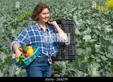 Frau, die nach der Arbeit auf dem Feld ruht und einen Korb mit geerntetem Gemüse hält. Frau, die an einem sonnigen Tag auf einem landwirtschaftlichen Feld arbeitet Stockfoto