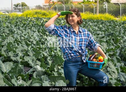 Frau, die nach der Arbeit auf dem Feld ruht und einen Korb mit geerntetem Gemüse hält. Frau, die an einem sonnigen Tag auf einem landwirtschaftlichen Feld arbeitet Stockfoto