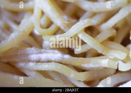 Spaghetti mit Schimmel verdorben. Nudeln oder Nudeln mit weißen Penicillausporen. Altes Essen Nahaufnahme Hintergrund Stockfoto