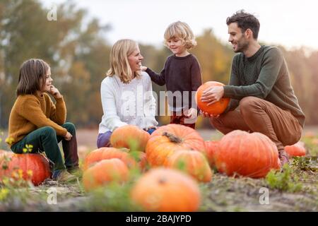 Fröhliche junge Familie im Kürbisfeld Stockfoto