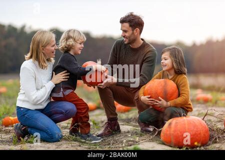 Fröhliche junge Familie im Kürbisfeld Stockfoto