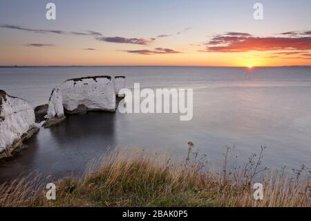 Old Harry Rocks aus Ballard Down mit Sunrise Jurassic Coast World Heritage Site, Swanage, Dorset, England, Großbritannien Stockfoto