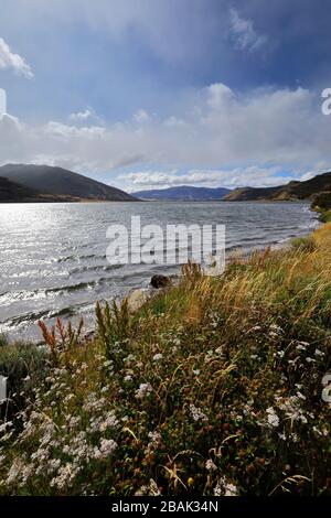 Blick auf Lago Figueroa in der Nähe von Cerro Castillo, Patagonien, Chile, Südamerika Stockfoto