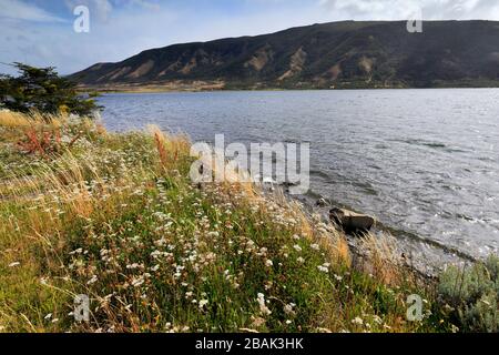 Blick auf Lago Figueroa in der Nähe von Cerro Castillo, Patagonien, Chile, Südamerika Stockfoto