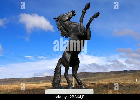 Der bronzene Hengst in der Villa Cerro Castillo, Region Magallanes, Patagonien, Chile, Südamerika Stockfoto