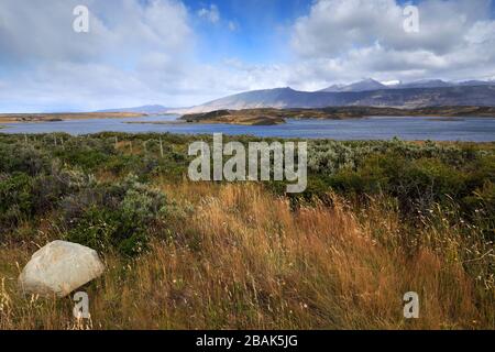 Blick auf das Dorf Puerto Prat in der Nähe der Stadt Puerto Natales, Patagonien, Chile, Südamerika Stockfoto