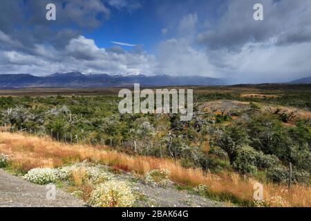 Blick auf das Dorf Puerto Prat in der Nähe der Stadt Puerto Natales, Patagonien, Chile, Südamerika Stockfoto