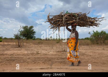 Eine Dorffrau, die bunte traditionelle Kleidung trägt, bringt Brennholz auf den Markt, im Süden Malawis, im Chikwawa District. Stockfoto