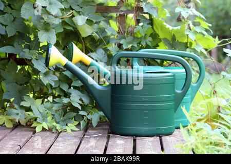 Zwei große grüne Gießkannen auf einer Veranda eines Sommerhäuschen in Finnland. Die Veranda ist braun und aus Holz, und es gibt auch grüne Blattpflanzen. Stockfoto