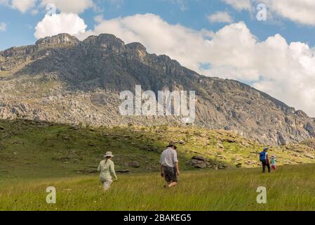 Wanderer erklimmen die Chimanimani-Berge im Chimanimani-Nationalpark in Simbabwe. Stockfoto