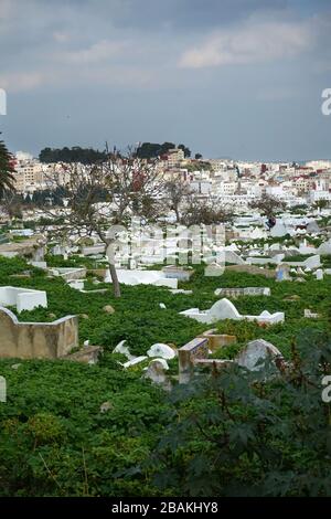 Muslimischer Friedhof in der Stadt Kasbah, Tétouan oder Tetouan im Norden von Marokko, Nordafrika, Afrika Stockfoto