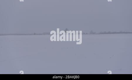 blizzard am frühen Morgen im ländlichen Litauen. Sehr schlechte Sicht und dunkler Himmel. Felder mit Schnee Stockfoto