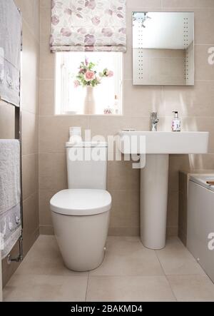 Eine Inneneinrichtung im Cottage-Stil oder ein modernes gefliestes Badezimmer mit weißer Badezimmer-Suite mit toilette und Waschbecken Stockfoto