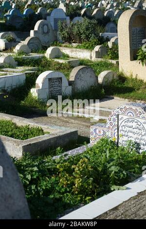 Muslimischer Friedhof, Tanger, Marokko, Nordafrika, Afrika Stockfoto