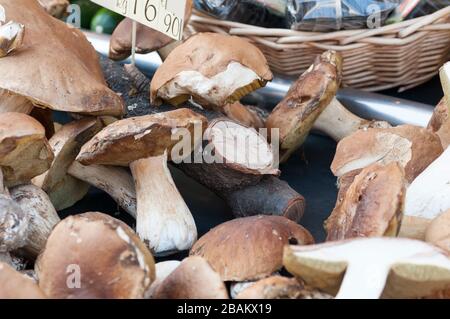 Steinpilze auf den Markt Stockfoto