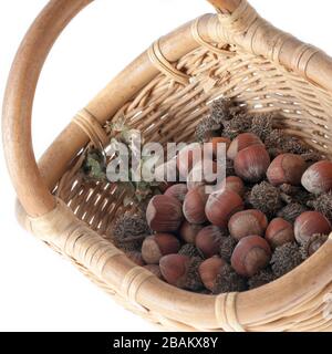 Erdnüsse in einem Weidenkorb Stockfoto