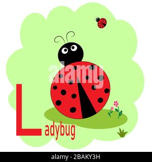 L Wort für Marienkämmer-Alphabet-Illustration Stock Vektor