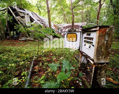 Elektrische alte Schalterbox im Regenwald mit einem eingestürzten Gebäude im Hintergrund, Mahe, Seychellen Stockfoto