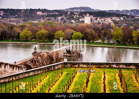 Rocher des Doms, der Rhône und Point Saint-Bénézet oder Le Pont d Avignon in Avignon, Frankreich. Stockfoto