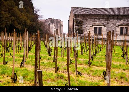 Der Weinberg Rocher des Doms und der Palast der Päpste in Avignon, Frankreich Stockfoto