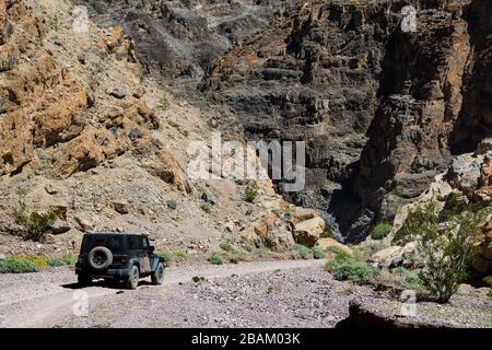 Geländewagen, die in einen zerklüfteten Canyon fahren, der von hohen Klippen im Todes-Valley-Nationalpark, Kalifornien, USA, umgeben ist Stockfoto