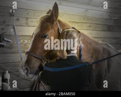 Das Band zwischen Pferd und Mensch ist oft schwer in Worte zu fassen. Stockfoto