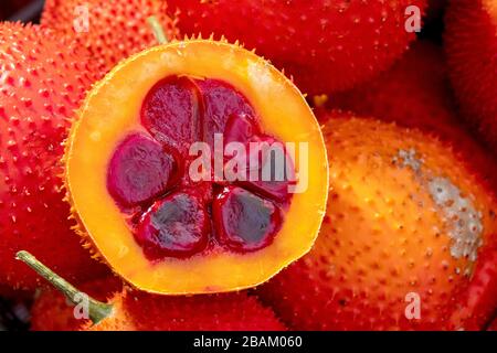 Geschnittene gac-Früchte (Momordica cochinchinensis) Stockfoto