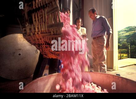 Chanel No5 Rose Farms and Parfümery in Grasse France 1990 Stockfoto